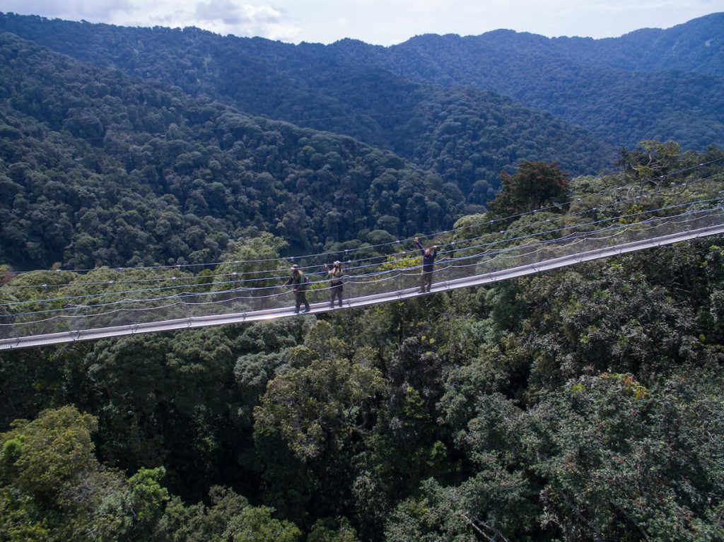 Nyungwe National Park